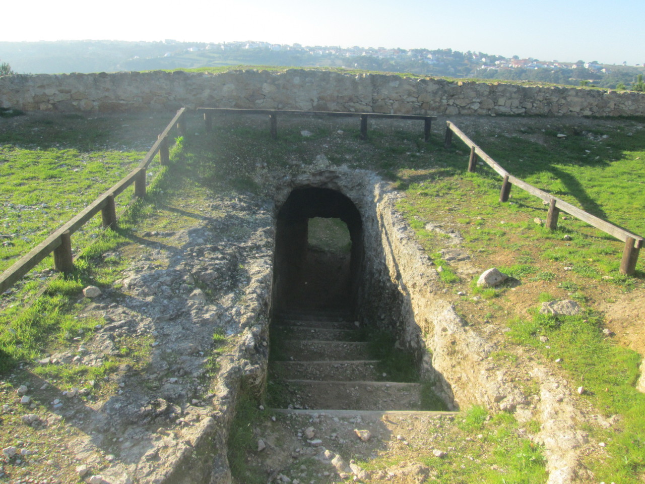 IMG_7256.JPG IMG_7256.JPG