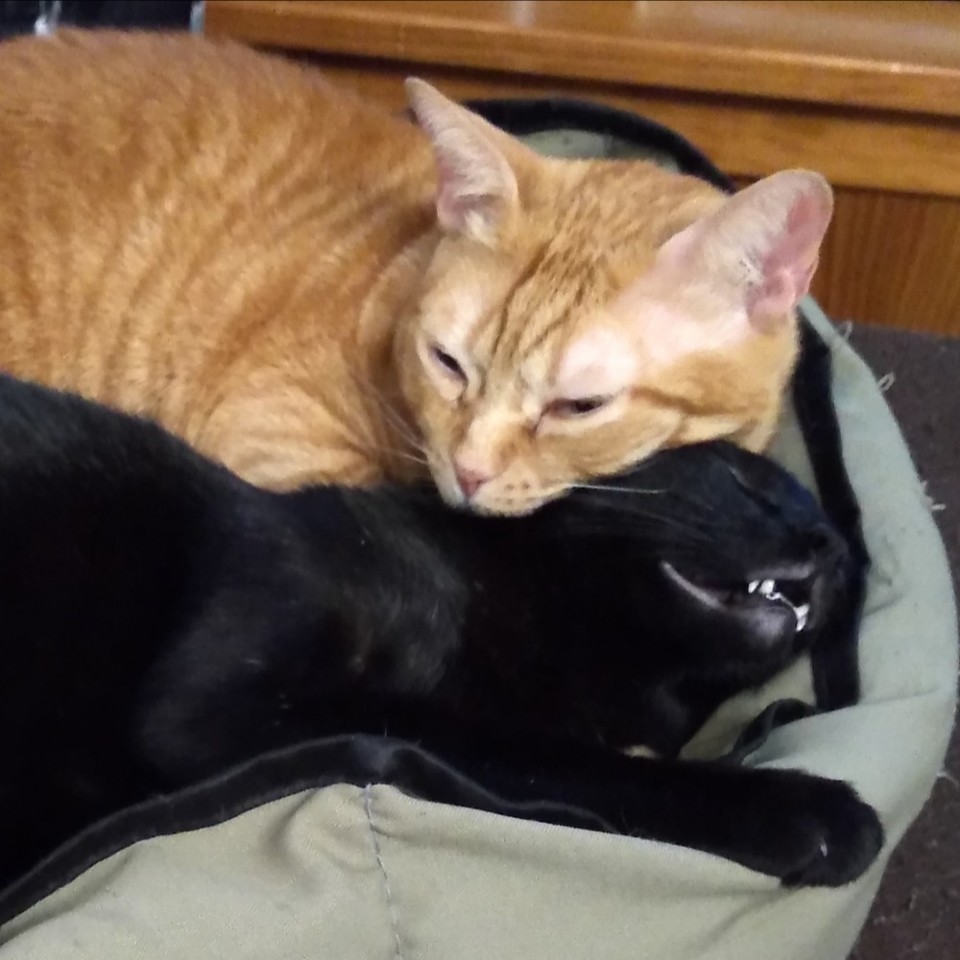 IMG_20191202_222853_822.jpg IMG_20191202_222853_822.jpg