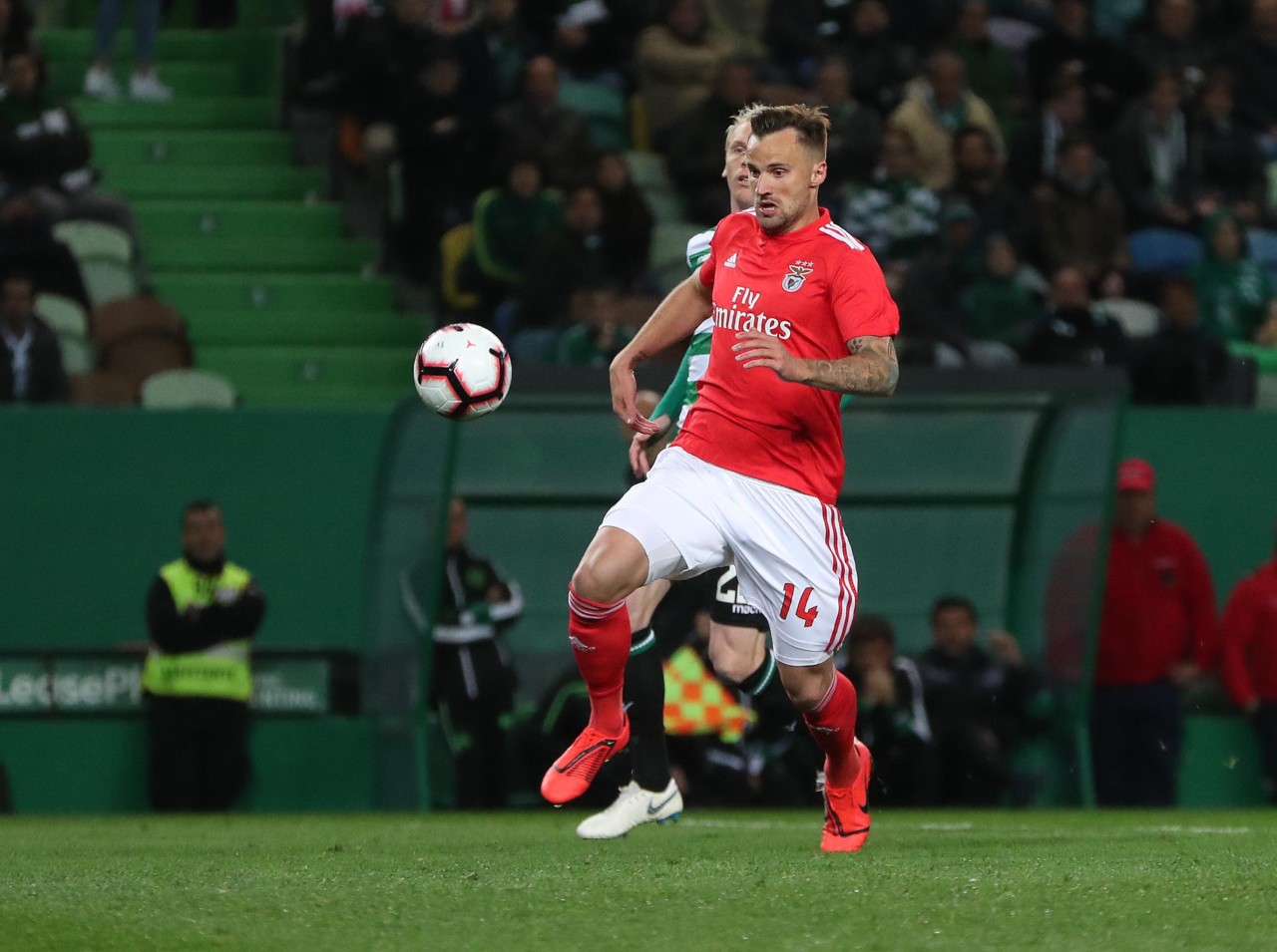 55945054_10161634150960716_9214289722916995072_o.j