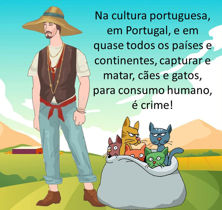 Os gatos é que mandam em nós! - Clube de Gatos do Sapo