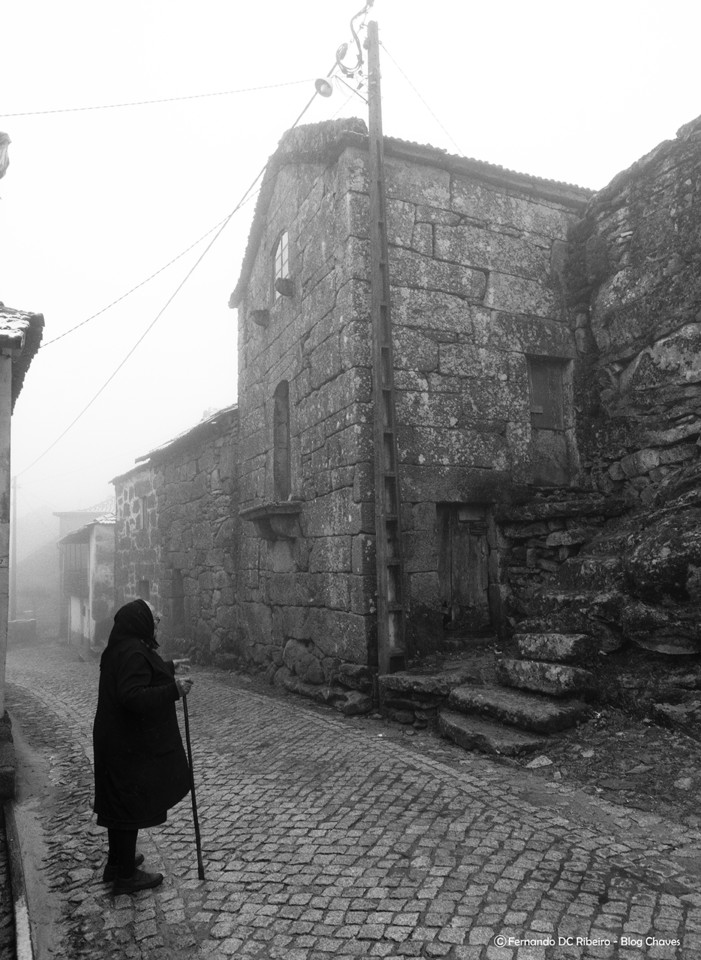 49902818281_162f197392_o (1).jpg