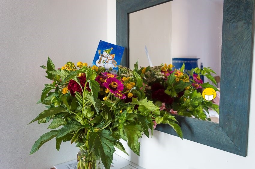 14449063_1154752507953058_1748089847899369531_n.jp