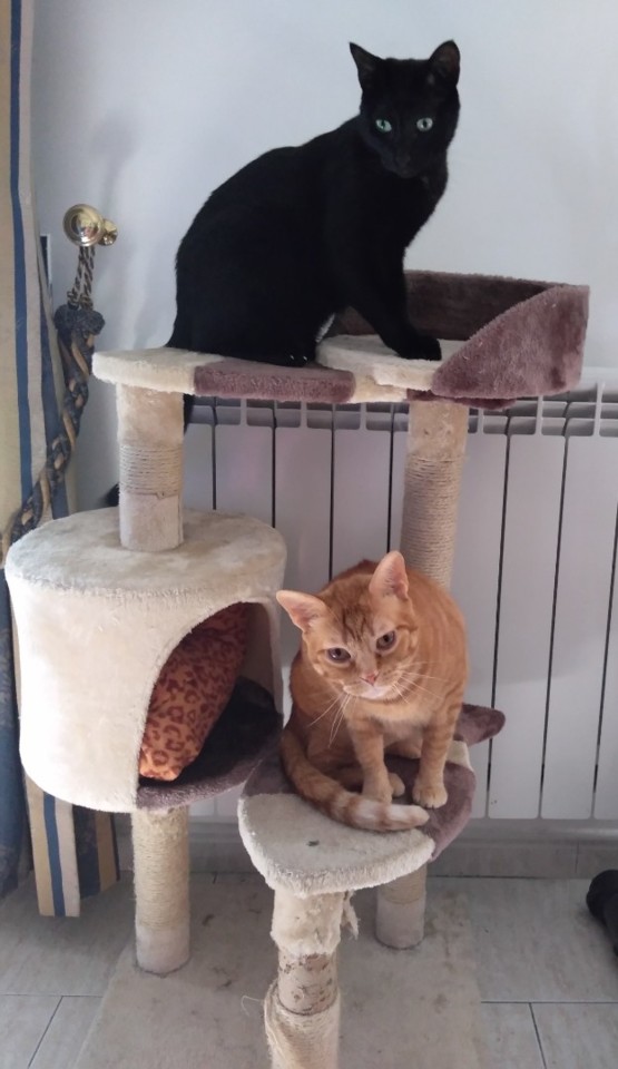 SquarePic_20190501_18014470.jpg SquarePic_20190501_18014470.jpg