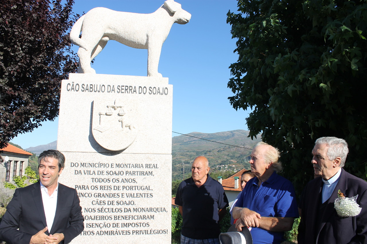 IMG_0575.JPG IMG_0575.JPG