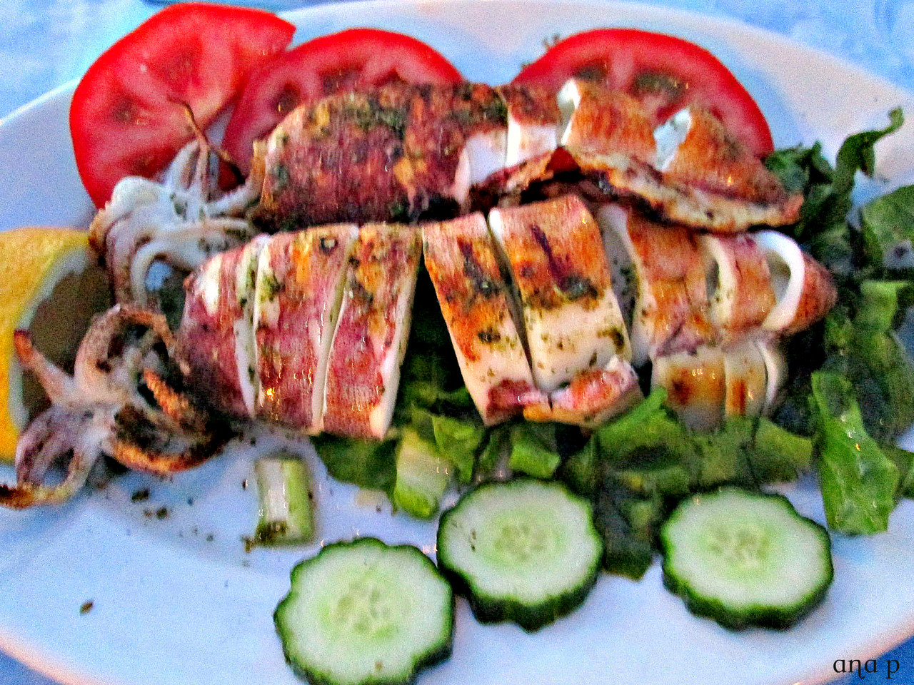 IMG_0296 cópia assin.jpg