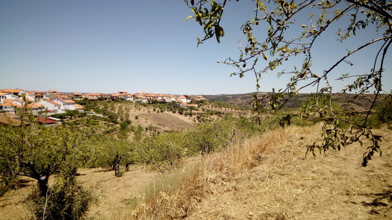 IMG_20170701_133154.jpg IMG_20170701_133154.jpg