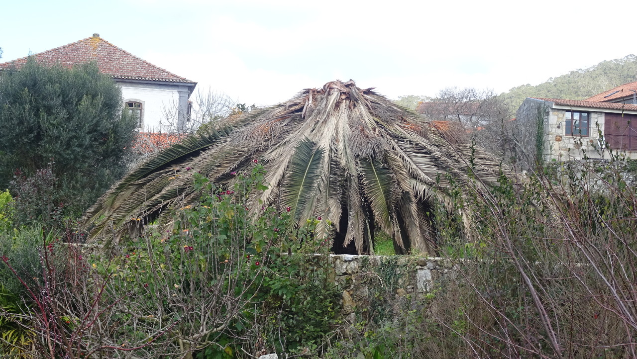 DSC00243.JPG DSC00243.JPG