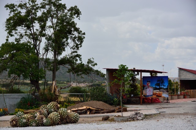 DSC_07.jpg DSC_07.jpg