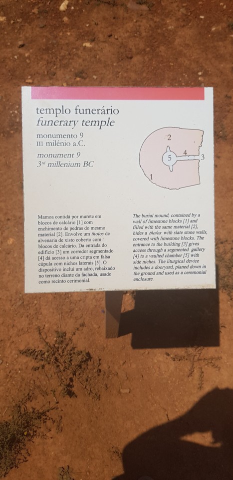 36311523_10210109832057089_1667903339121082368_n.j