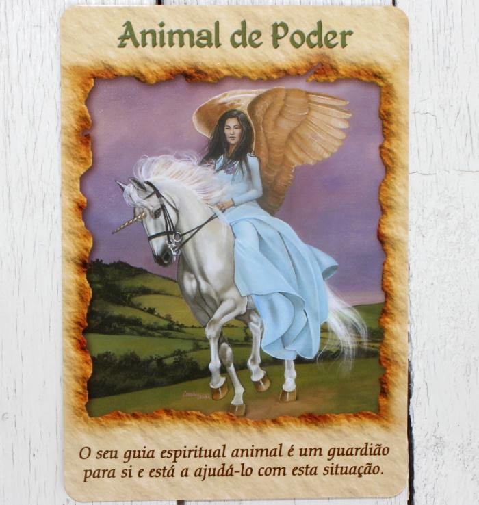 Animal de Poder.jpg