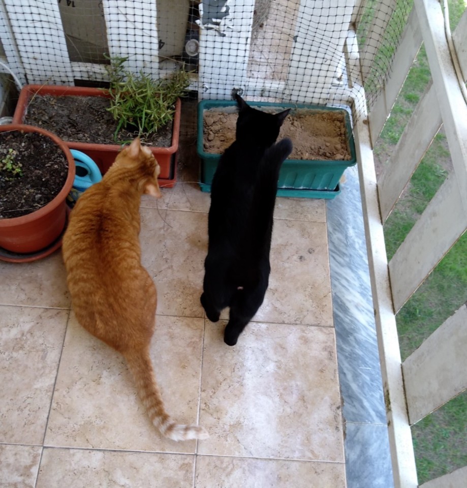 SquarePic_20191005_12024439.jpg SquarePic_20191005_12024439.jpg