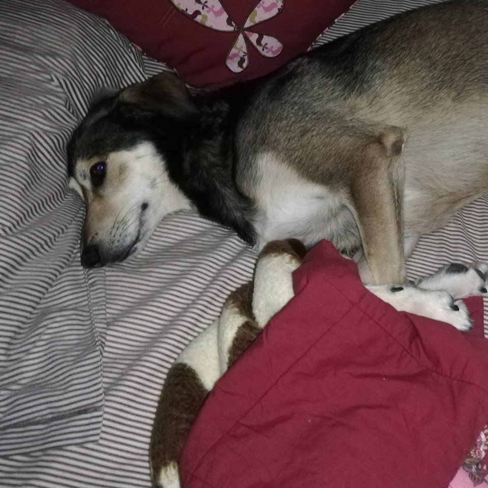 IMG_20190630_141453_737.jpg IMG_20190630_141453_737.jpg