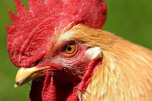 497802499_9767903733297438_8958703058426352446_n.j