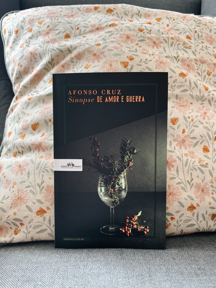 sinopse-amor-guerra-afonso-cruz.jpg