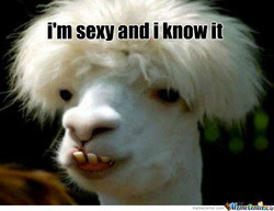 6800728.jpg 6800728.jpg