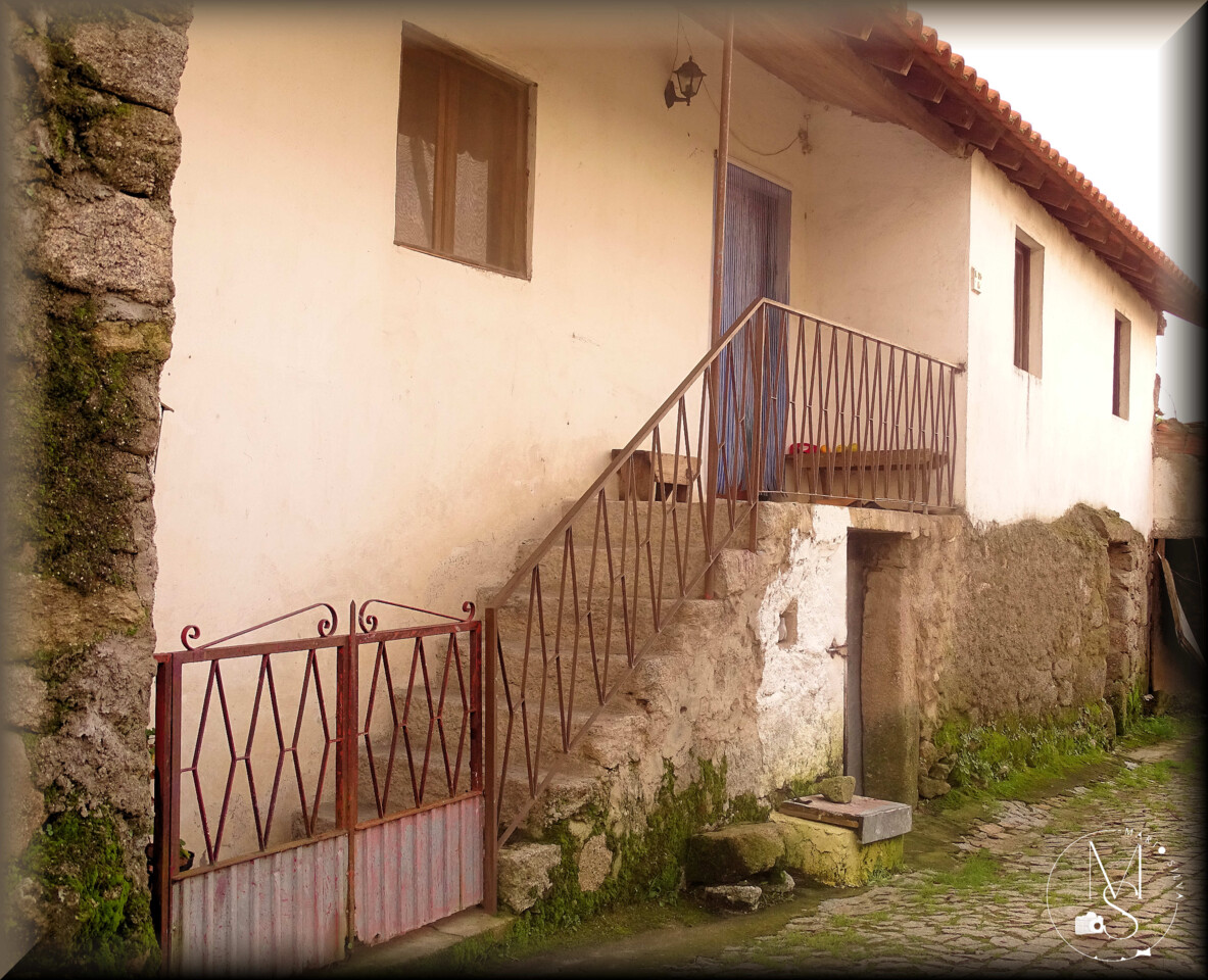 12Jan DSC05086_ms.JPG