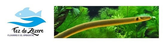 parque ambiental interativo.jpg