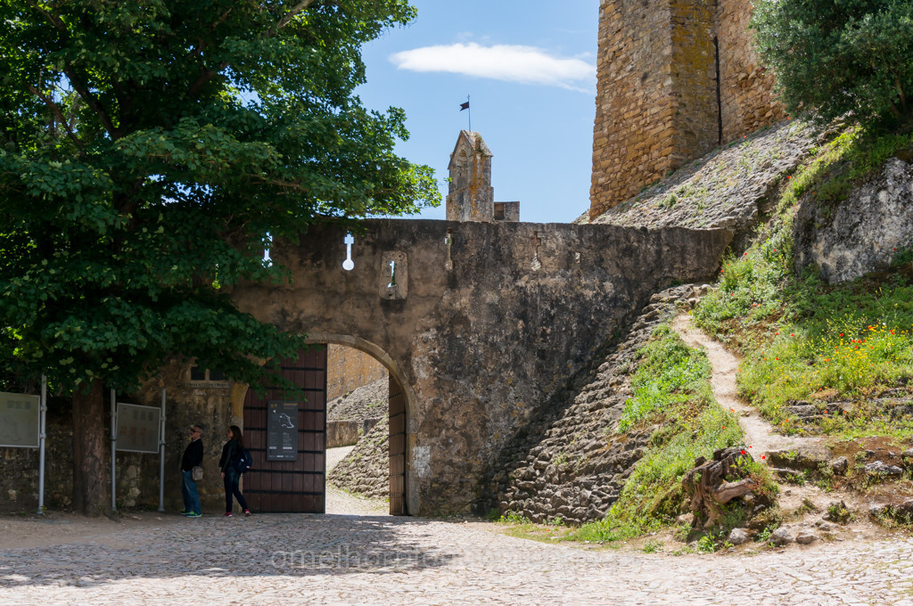 _DSC7279.jpg _DSC7279.jpg