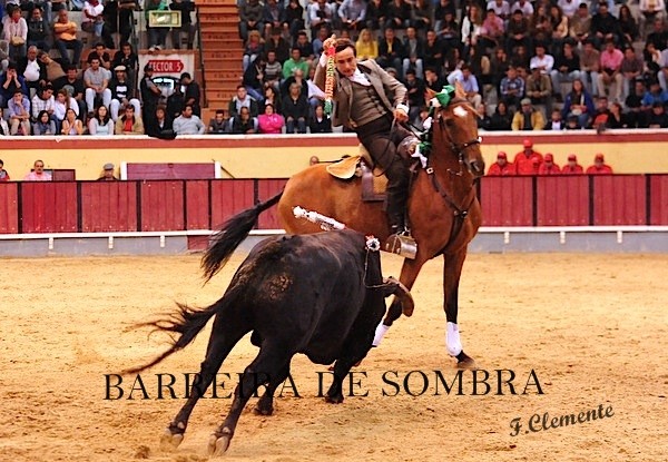 barreira de sombra14-14-26-DSC_9750.JPG barreira de sombra14-14-26-DSC_9750.JPG