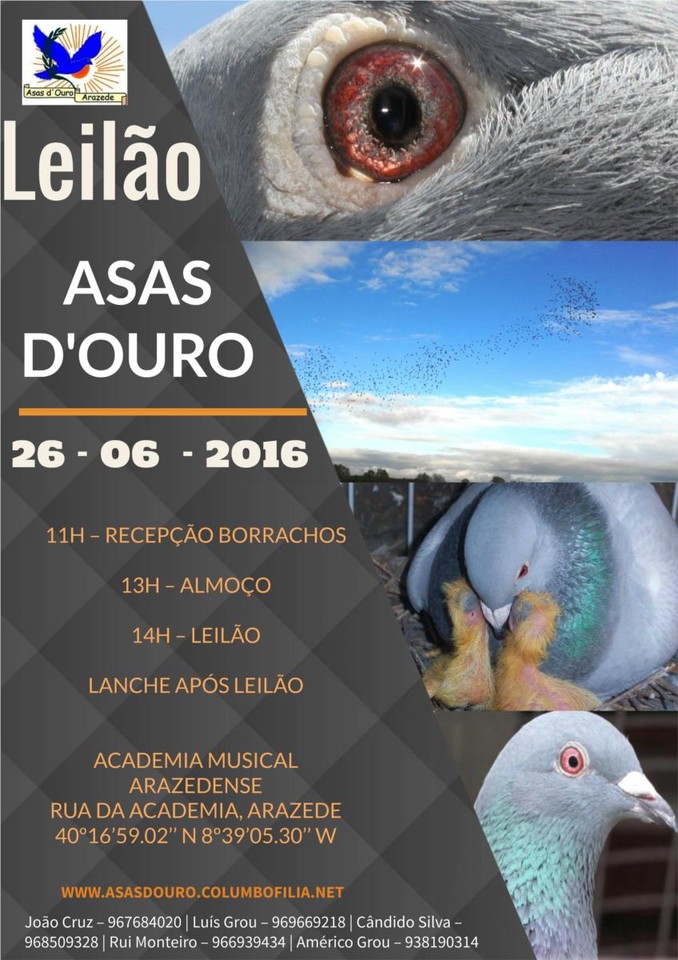 Leilão AsasD&#39;Ouro.jpg