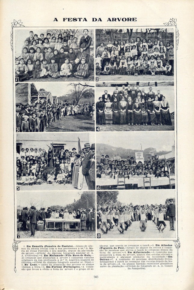 festa da árvore alferarede.jpg