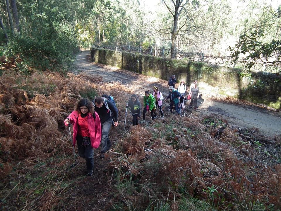 16730549_722001281314708_4173653541925062658_n.jpg 16730549_722001281314708_4173653541925062658_n.jpg