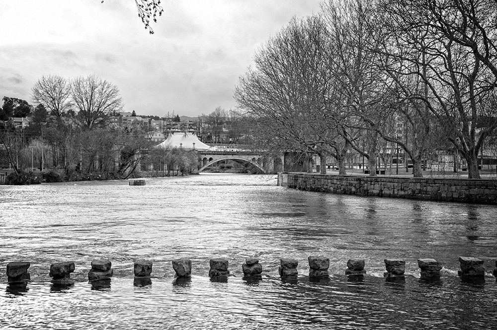 _JMD0178 - Cópia.jpg