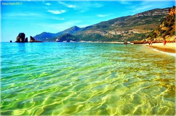 11164736_871039509600981_2056245789269179570_n.jpg 11164736_871039509600981_2056245789269179570_n.jpg