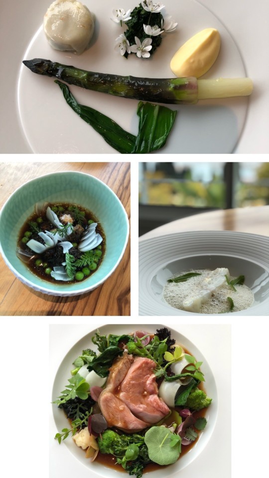 IMG_7203.JPG IMG_7203.JPG