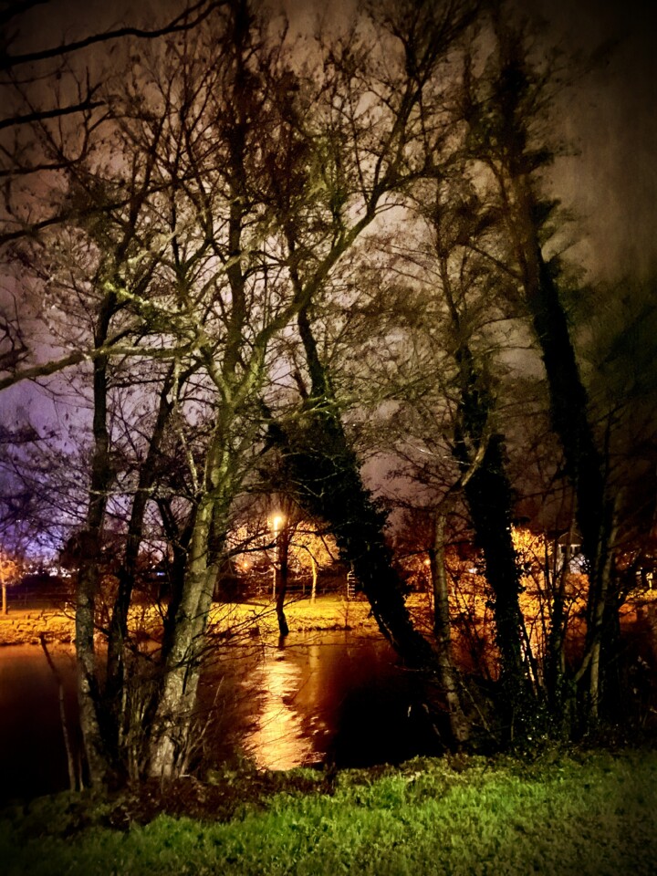 IMG_3945 - cópia.jpg