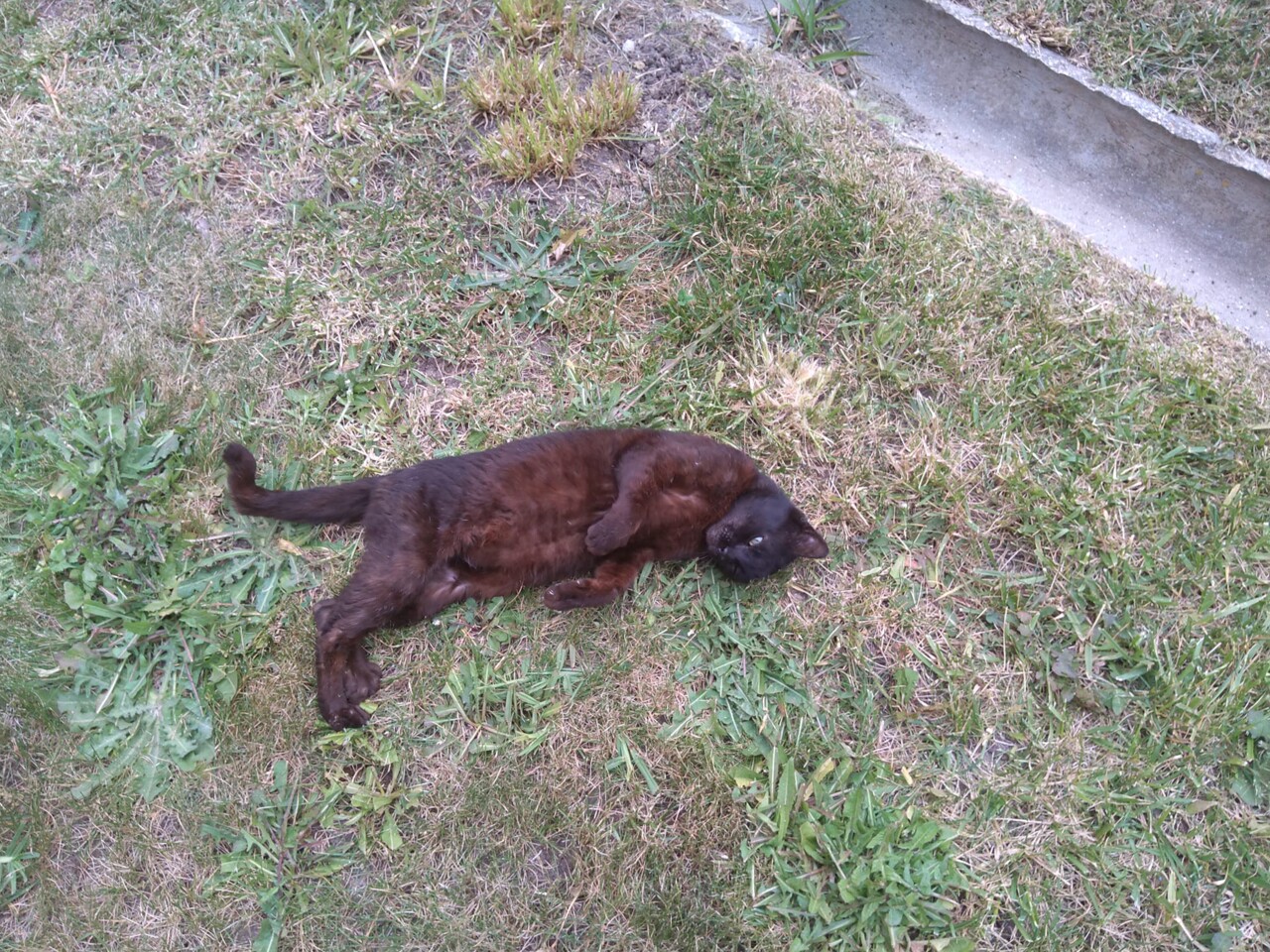 440950627_458166783405487_1038168372286040945_n.jp