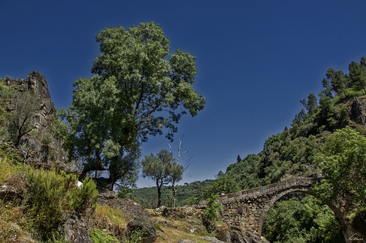 1600-misarela (100).jpg