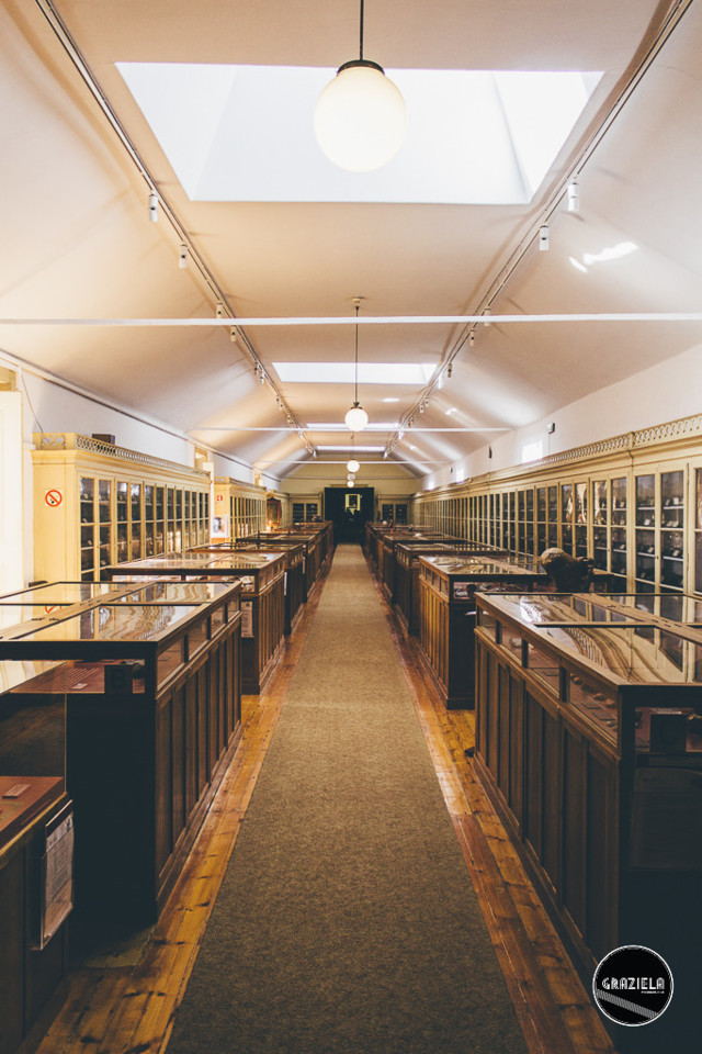 Museu_Geologico_de_Lisboa-017013.jpg