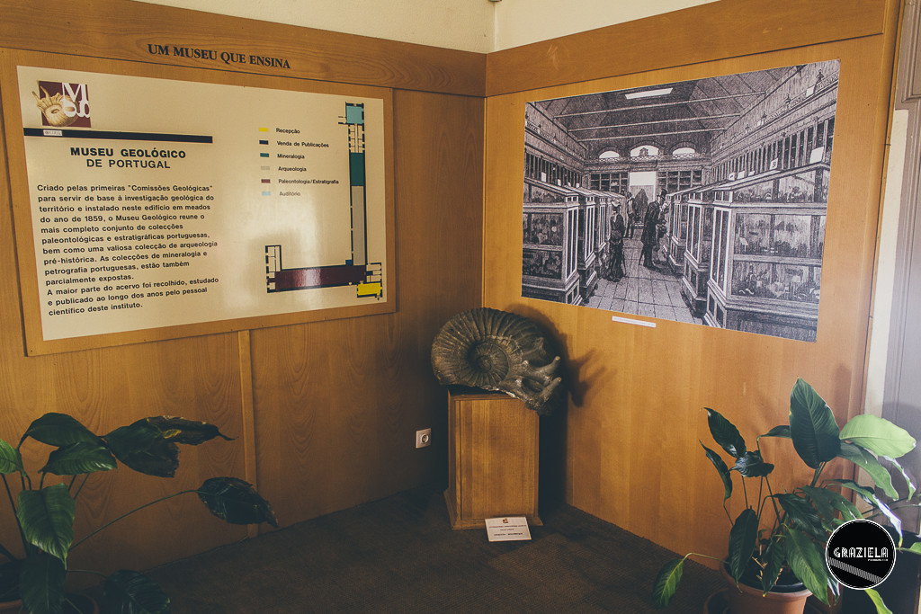 Museu_Geologico_de_Lisboa-017042.jpg