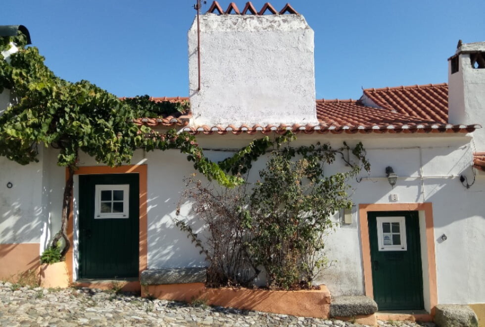 foto jose pinheiro.jpg