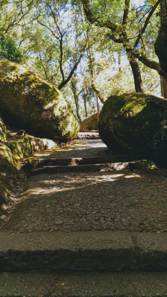 Caminhos da Montanha da Penha.jpg Caminhos da Montanha da Penha.jpg