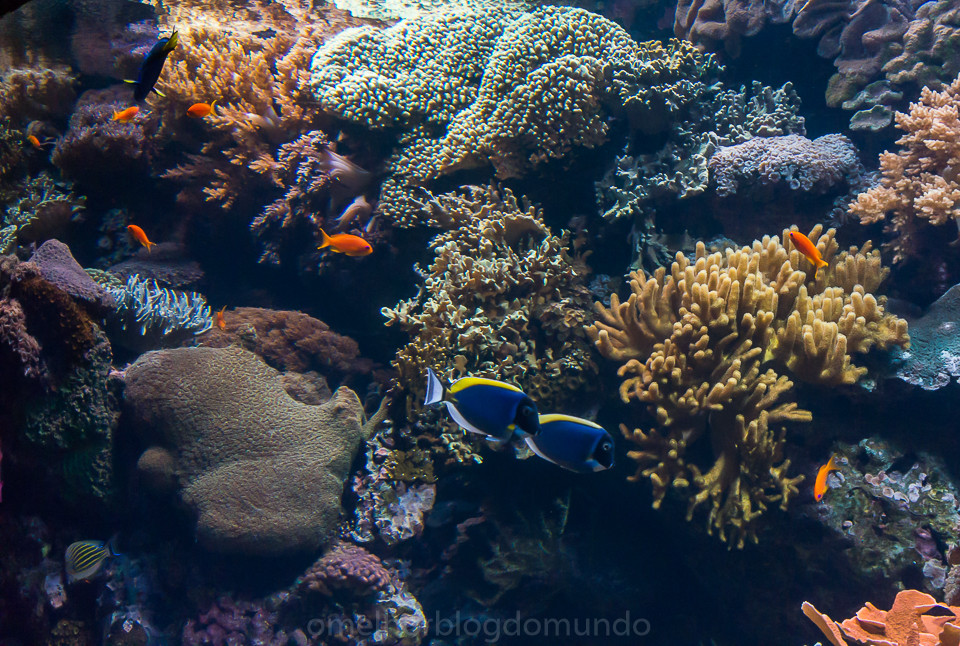 DSC00280.jpg DSC00280.jpg