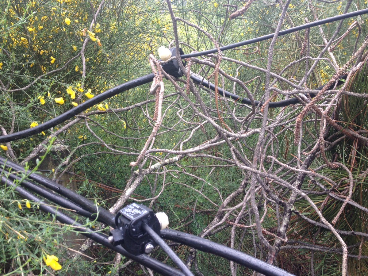 imgpsh_fullsize (8).jpg