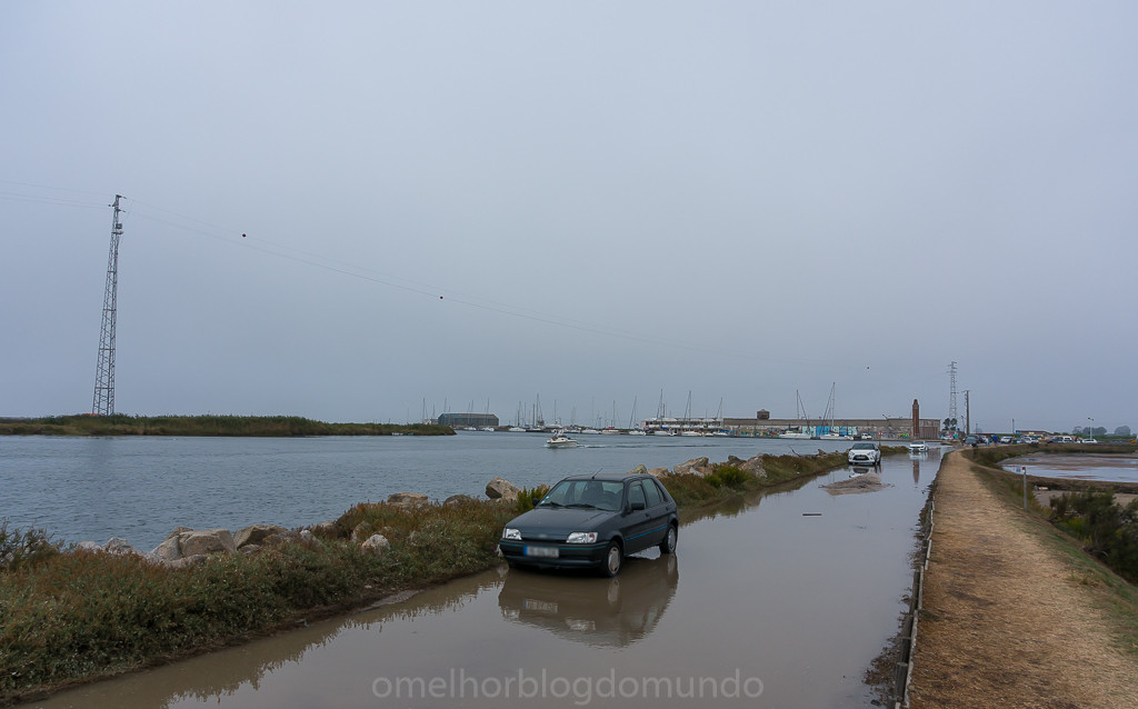 DSC05060.jpg DSC05060.jpg