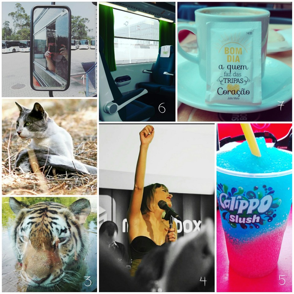 1471176193799.jpg 1471176193799.jpg