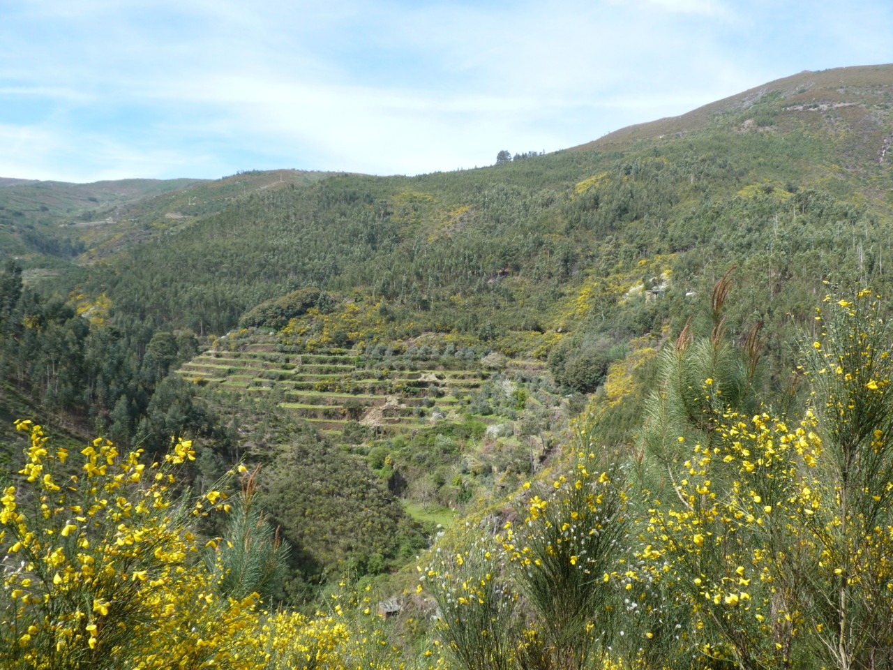 Piódão (17).JPG Piódão (17).JPG