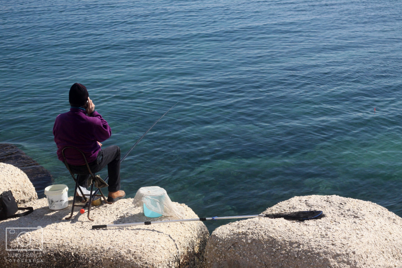 IMG_5731_net.jpg IMG_5731_net.jpg