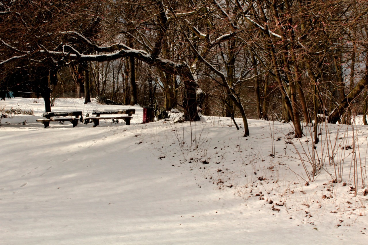 IMG_4153.JPG IMG_4153.JPG