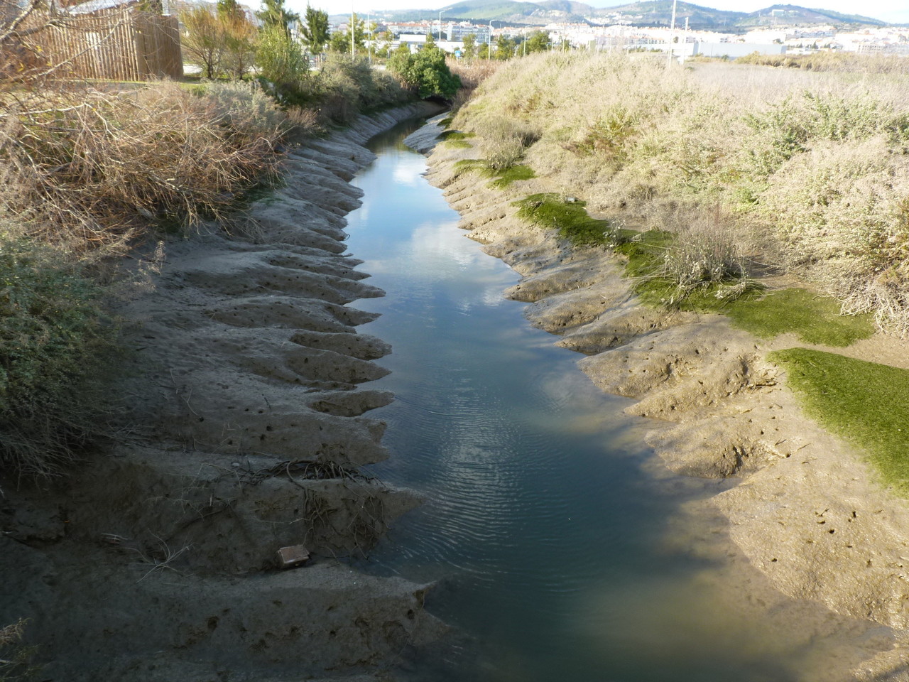 Parque Linear Ribeirinho do Estuário do Tejo (19)