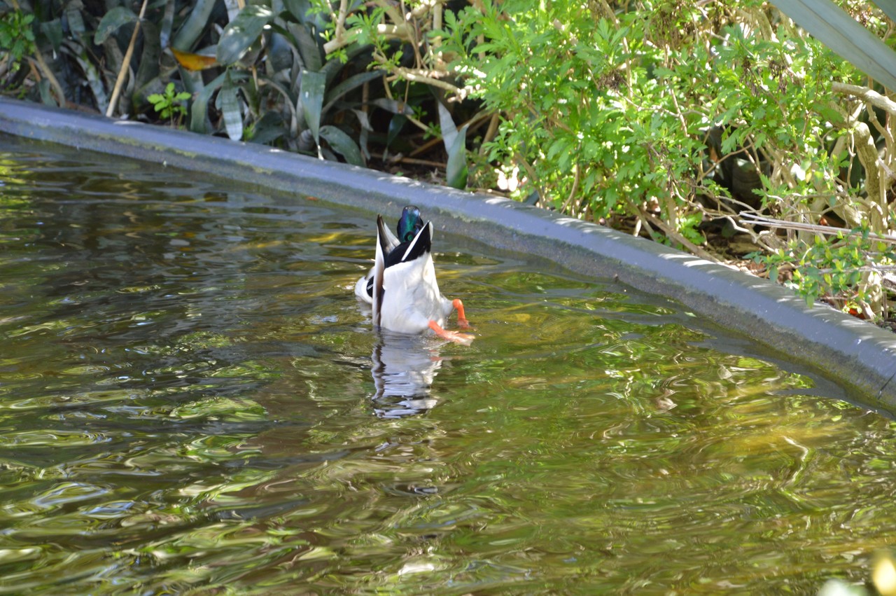 DSC_0034 (2).JPG DSC_0034 (2).JPG