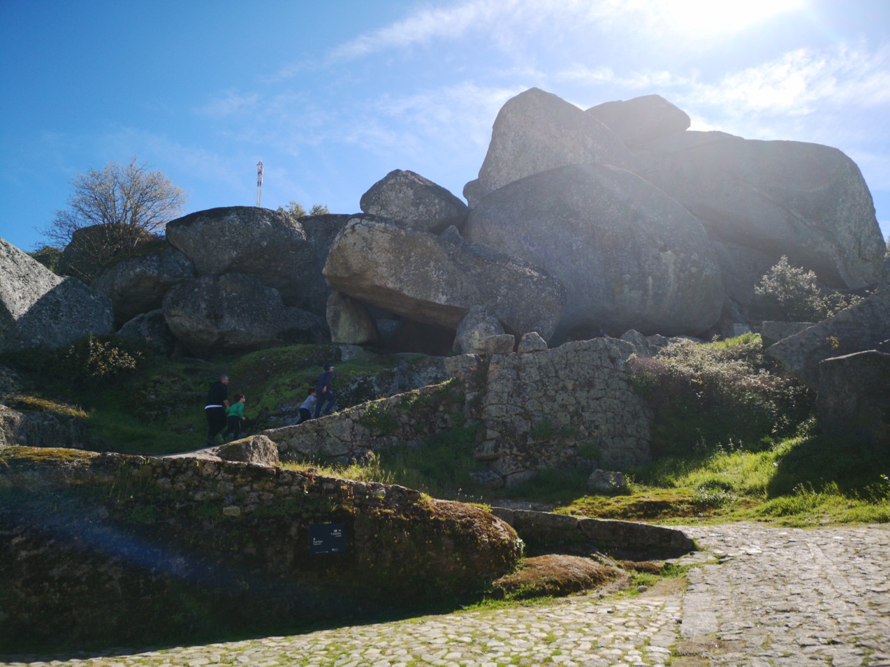 IMG_20190316_114631.jpg IMG_20190316_114631.jpg