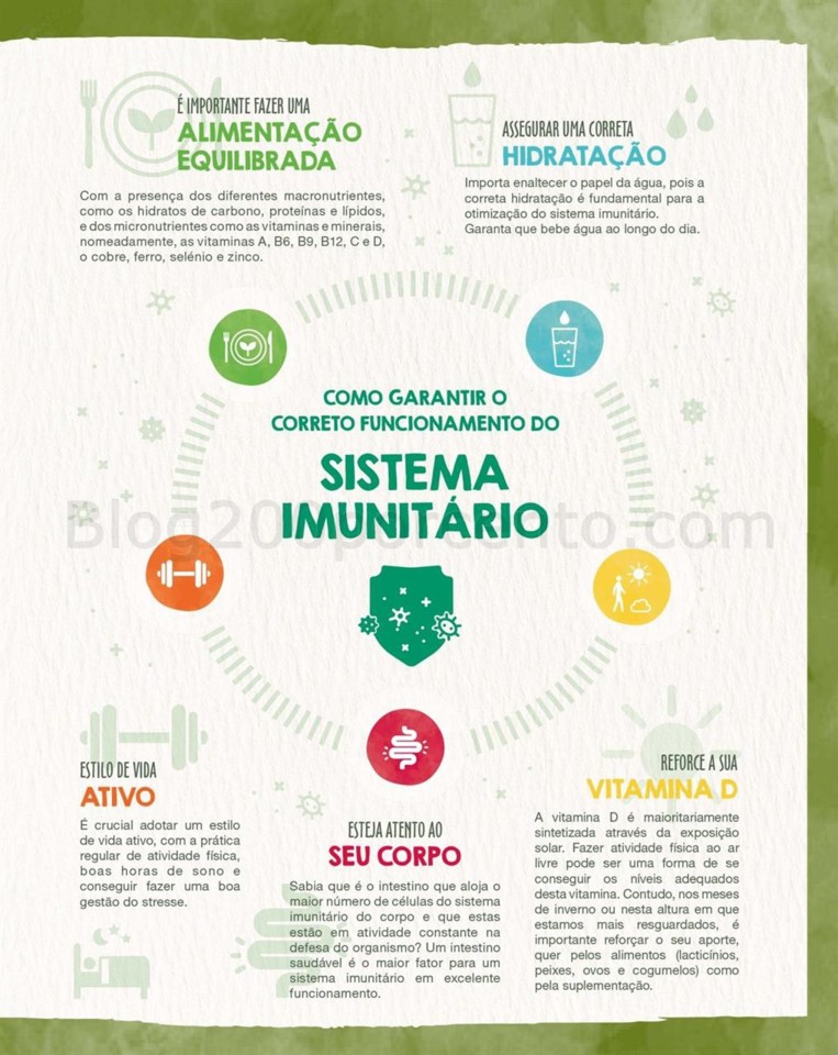 Antevisão folheto CONTINENTE Promoções de 12 a 