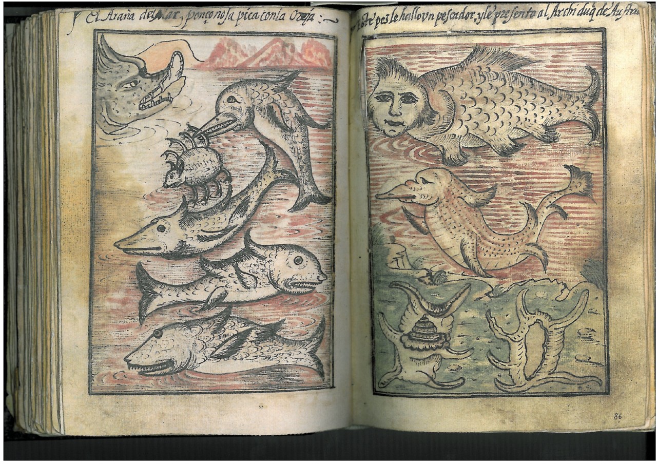 d364258539b9ac184c30876991362dc3.jpg d Juan de aus