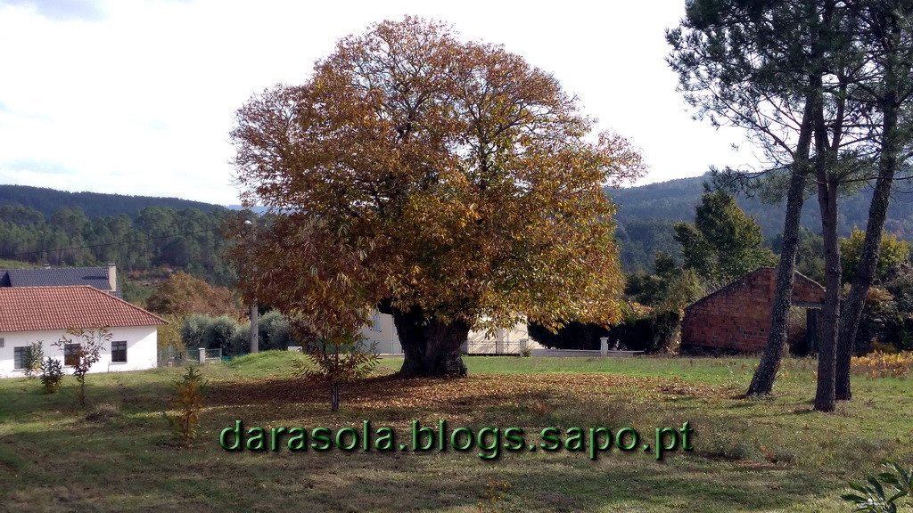 Minas_Queiriga_19.jpg Minas_Queiriga_19.jpg