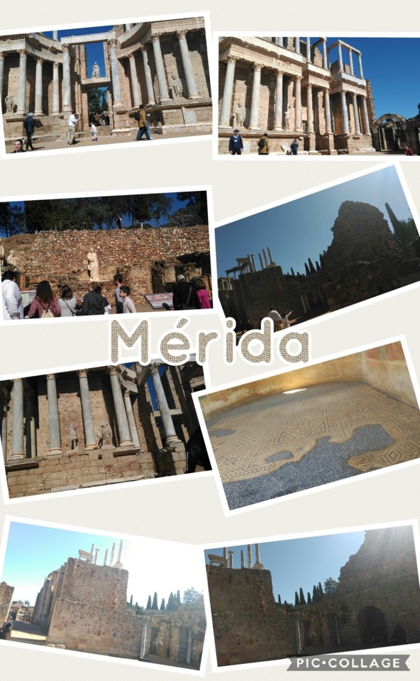 Collage 2018-03-28 19_15_53.jpg